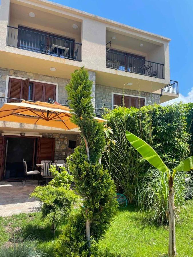 Apartament Reina Petrovac Zewnętrze zdjęcie