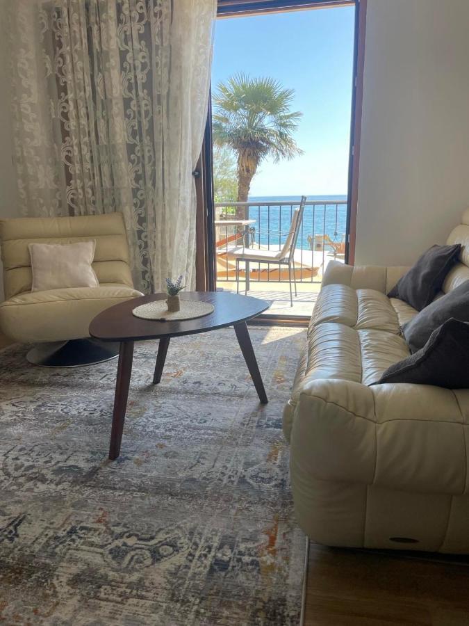 Apartament Reina Petrovac Zewnętrze zdjęcie
